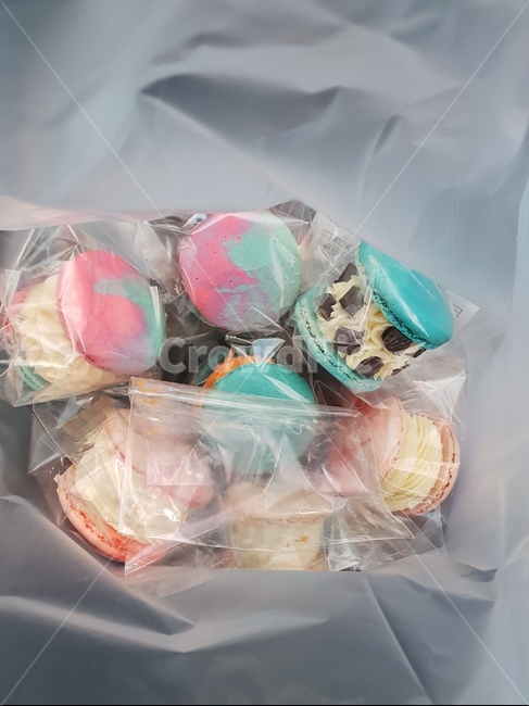 마카롱,달콤,뚱카롱,비닐속,알록달록