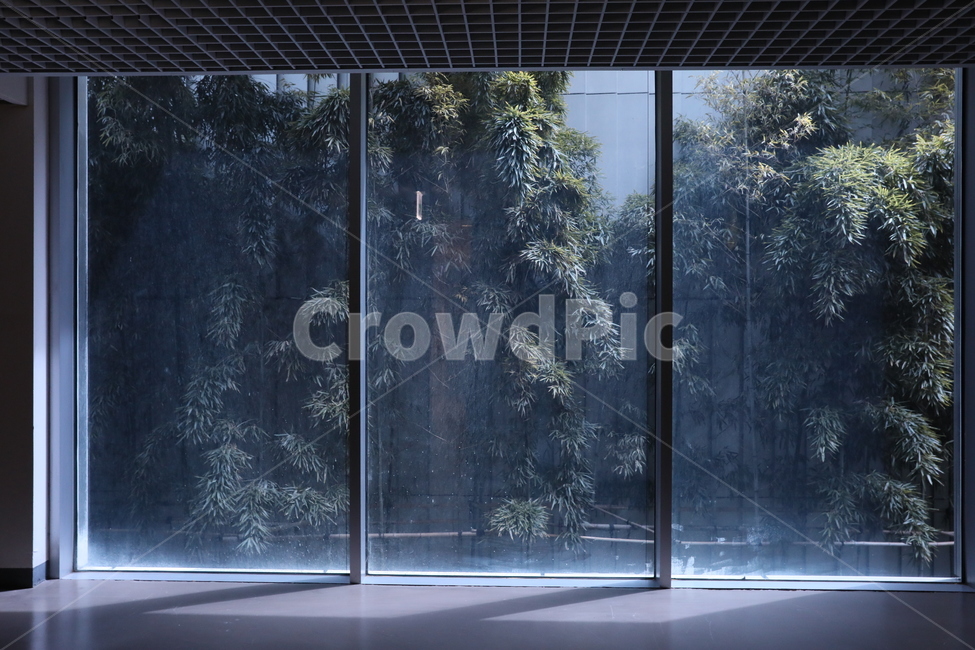 아시아문화전당,대나무,창,창밖풍경,감성사진,인테리어,실내디자인,interior design