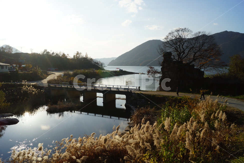 제천,충주댐,가을,호수,억새,가을풍경,청풍호,충주호,물,water,nature,자연,outdoors