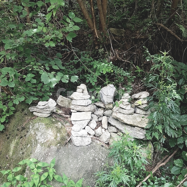 풀,나무,돌,돌탑,stone