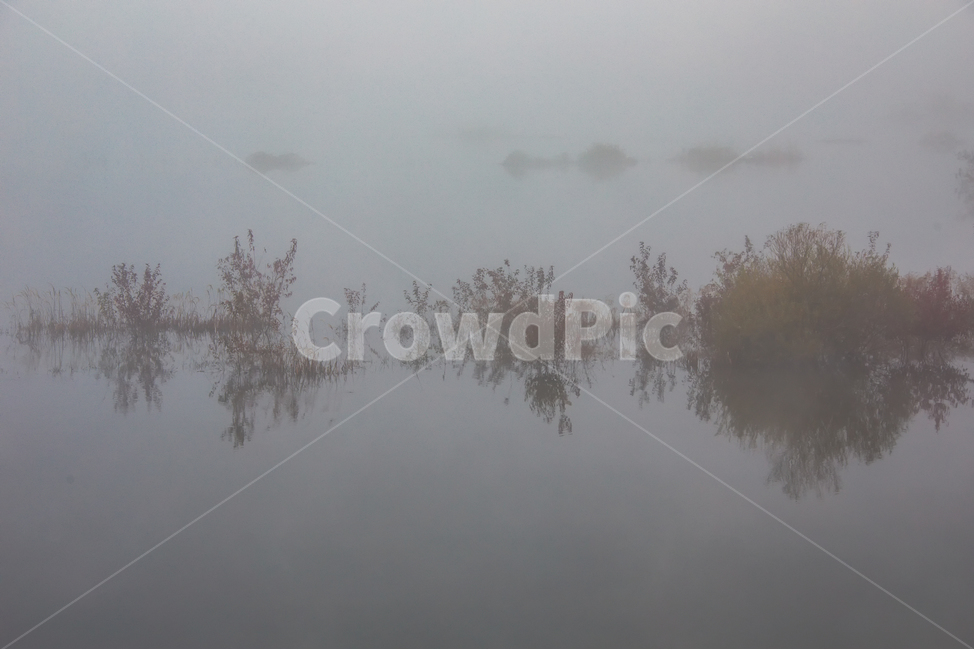 물안개,안개,호수,풍경,아침풍경,용담호,nature,자연,자연,풍경,nature,landscape