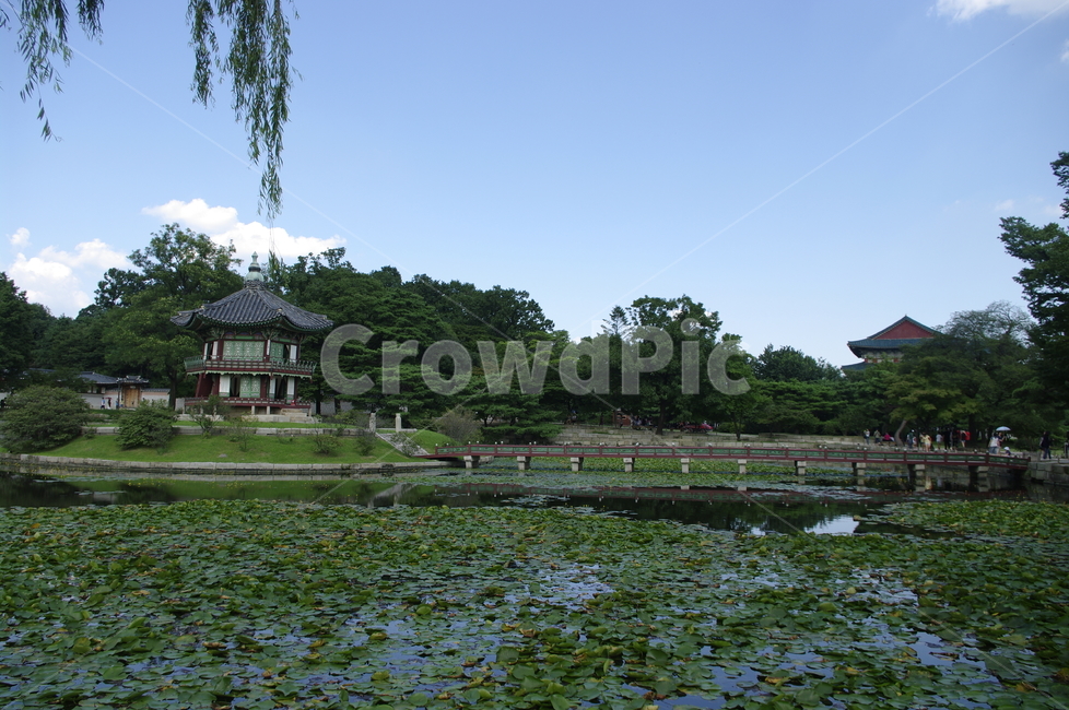 경복궁,향원정,연못,풍경,고궁,건축,전통건축,traditional,전통,기와지붕,도시,풍경,city,landscape,한국도시풍경,한국도시경관,korea cityscape,한국전통,한국문화,korean traditional,korean culture