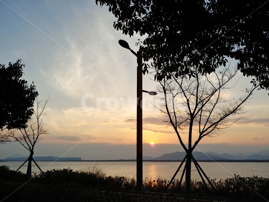 nature,자연,outdoors,옥외,senset,노을,view,나무,tree