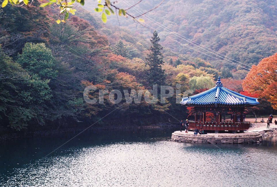 내장산,단풍,가을,호수,풍경,가을,계절,fall,autumn,season,자연,풍경,nature,landscape,한국자연풍경,한국자연경관,korea nature landscape,한국전통,한국문화,korean traditional,korean culture
