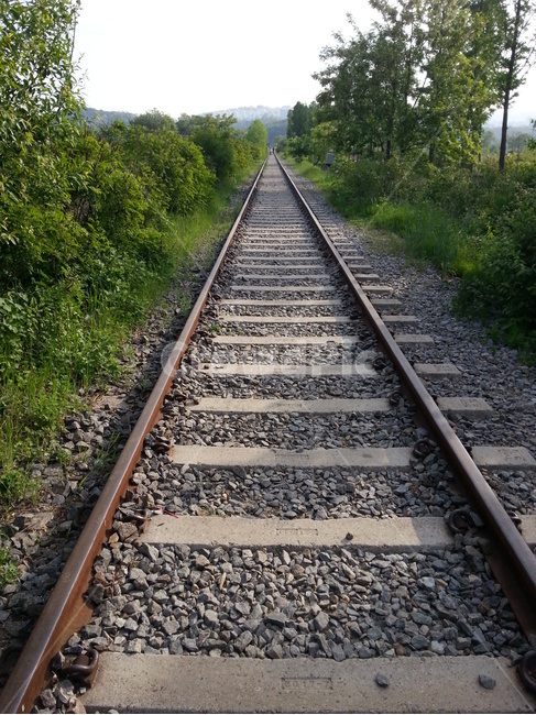 철길,철도,야외,나무,배경,하늘,초록,여행,휴가,교통,교통수단,traffic,transportation,railway,train track,기찻길,rail,레일,staircase,계단