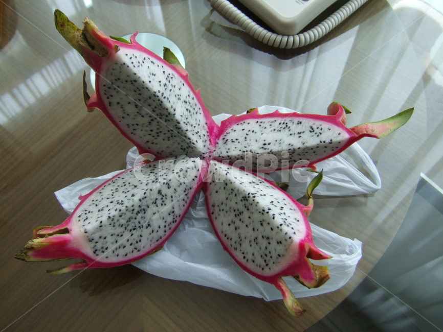 용과,과일,드라곤,씨앗,과일조각,fruit,dregon