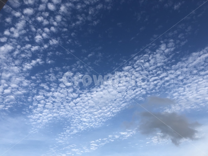 하늘,구름,cloud,sky,먹구름