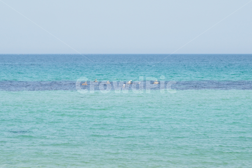 바다,바닷가,안목해변,sea,beach