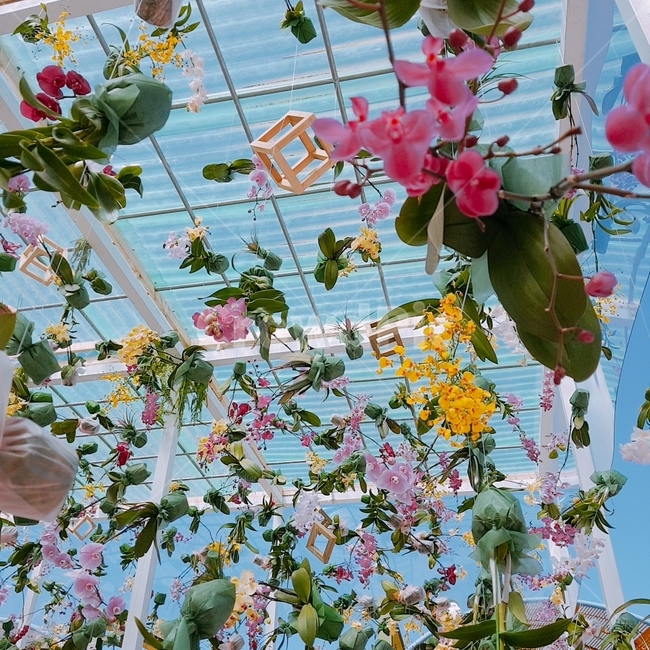 꽃,flower,하늘,날씨,화창