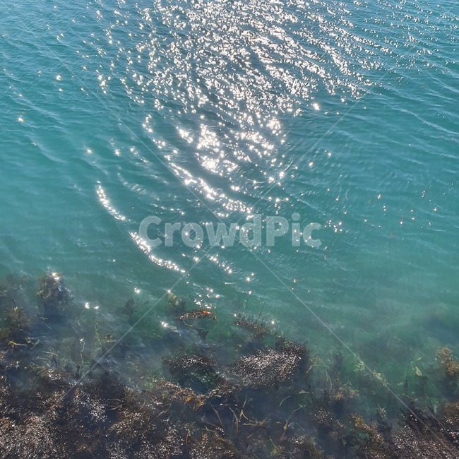 물,water,nature,자연,바다