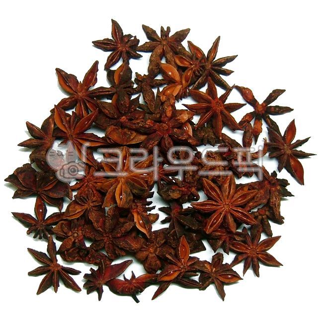 말린,건조,팔각향,팔각향차,회향,팔각,스타아니스,말린팔각향,건조된팔각향,향신료