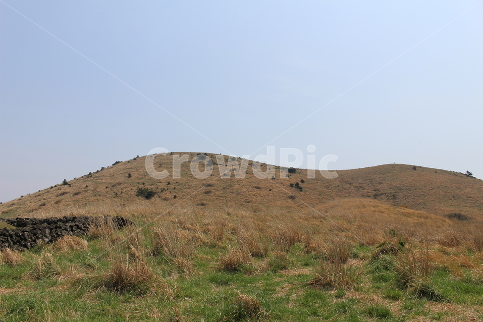 자연,nature,hill,언덕,오름,제주도