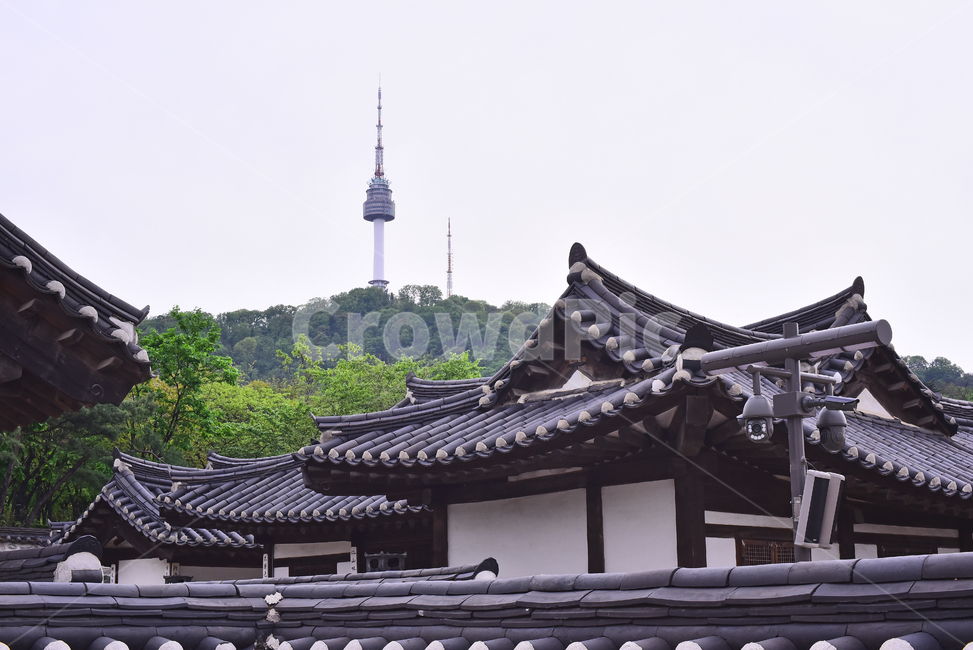 Namsan,In May,folk village,april,house,Town,tile roof,Namsan Tower,season,tiled house,village,traditionalhouse,traditional village,traditionalpattern,House,traditional pattern,seoul,background,Korean tradition