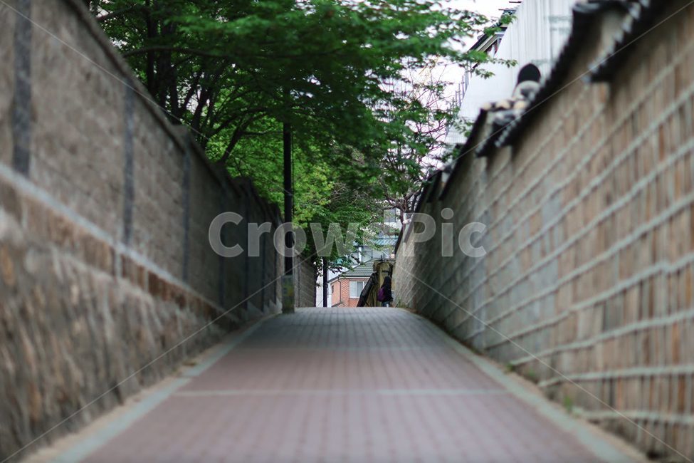 골목,북촌마을,푸른,돌담,담