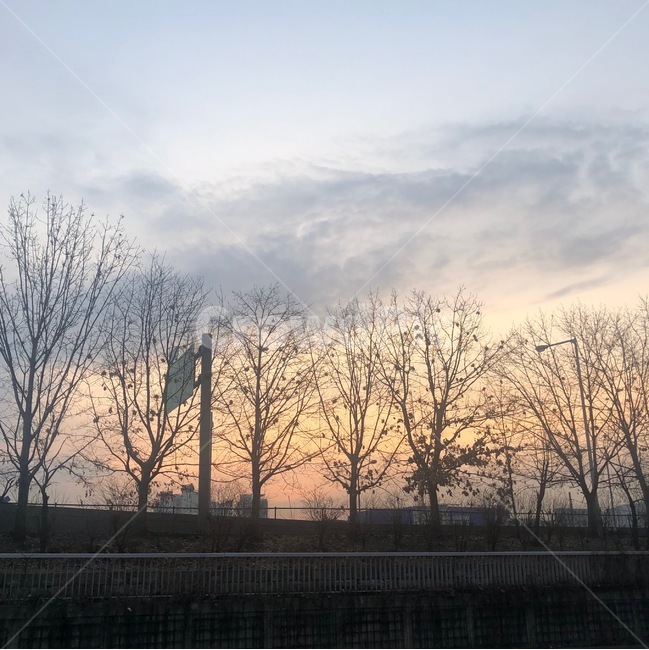 나무,겨울,구름,하늘,노을,날씨,자연,풍경,nature,landscape