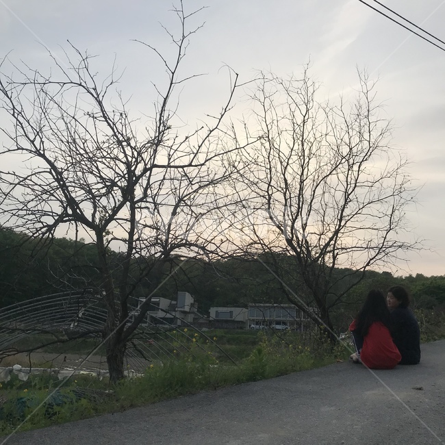 어버이날,그리움,노을,시골,감사,사람,인물,인간,human,person,가족,패밀리,family