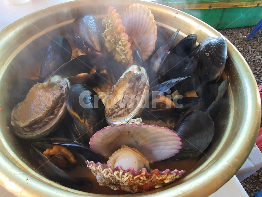 invertebrate,무척추동물,animal,동물,clam,대합,sealife,해양생물,seashell,조개,홍합탕
