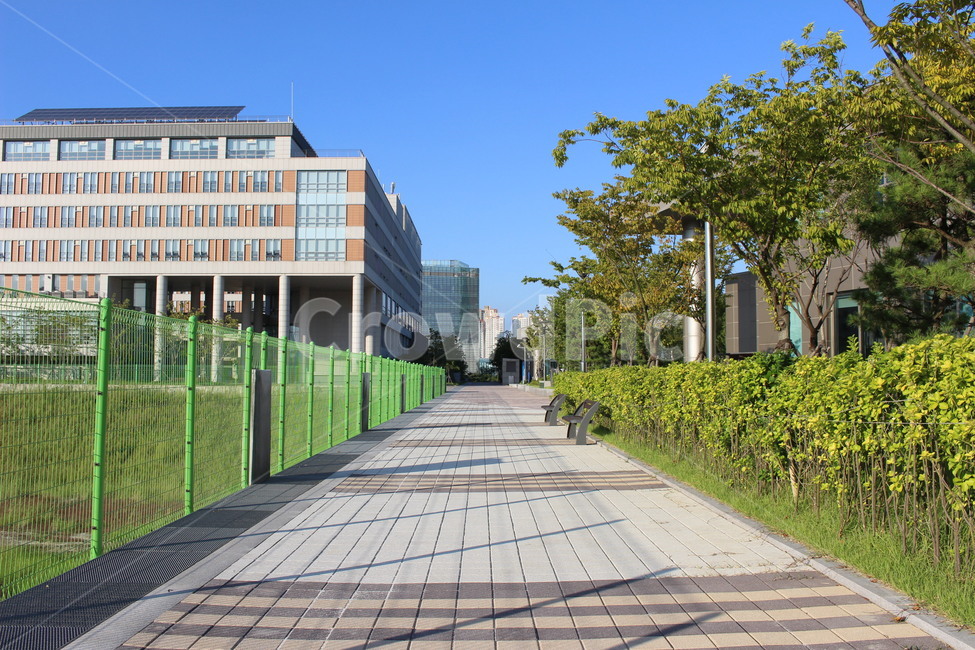 인도,walkway,산책로,공원,옥외