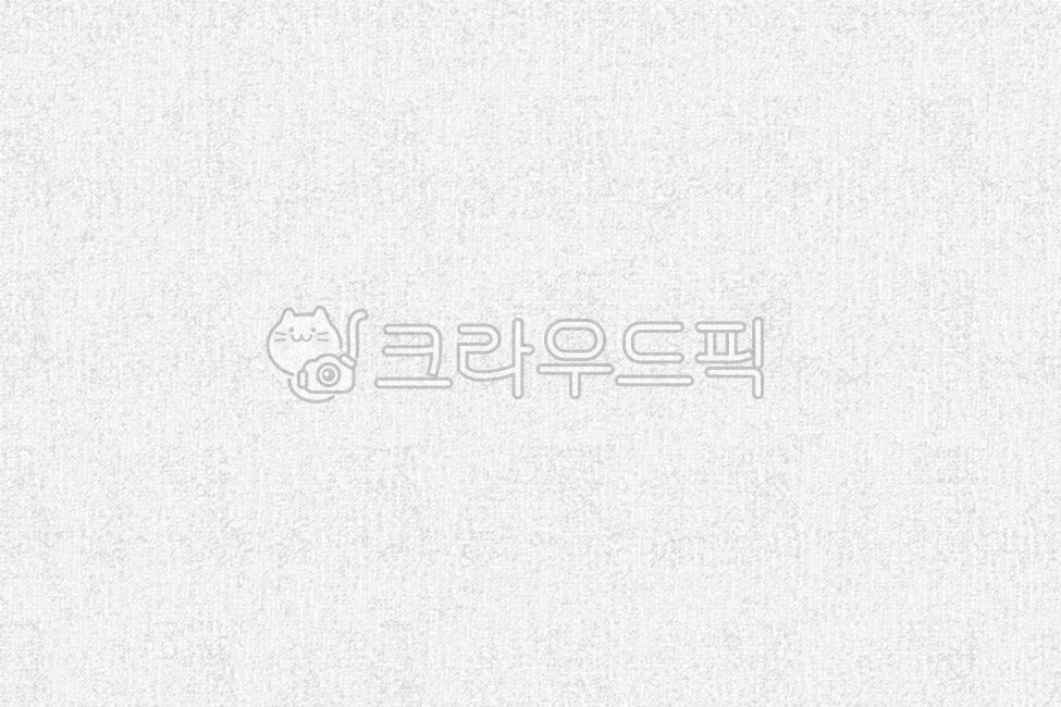 paper texture,dirty paper,rough,pattern,white background,sauce,background paper,paper,crumpled,white,tree paper,moldy paper,wrinkled,group,texture,tough,rough paper,paper texture background,background,paper background,white paper background