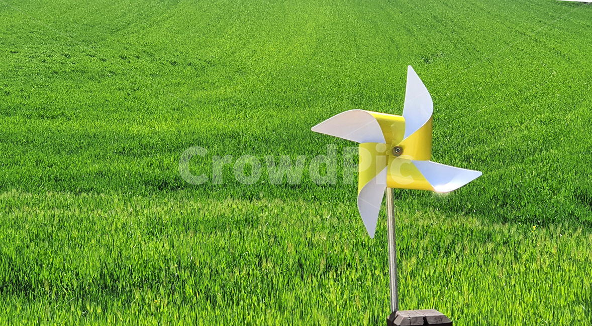 팔랑개비,바람개비,청보리,청보리밭,들판,초원,바람,green,windmill,grassland,grass,잔디,plant,식물,풍차