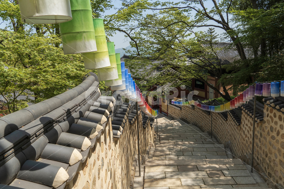 등불,부처님오신날,석가탄신일,5월12일,범어사,청사초롱