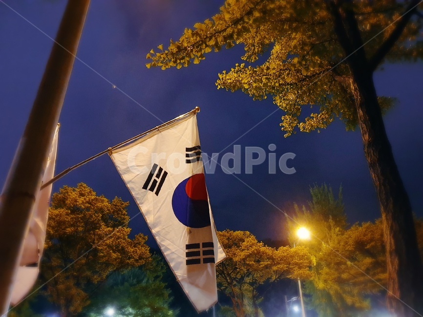 태극기,korea,애국,nationalflag,저녁하늘,가로등,나무