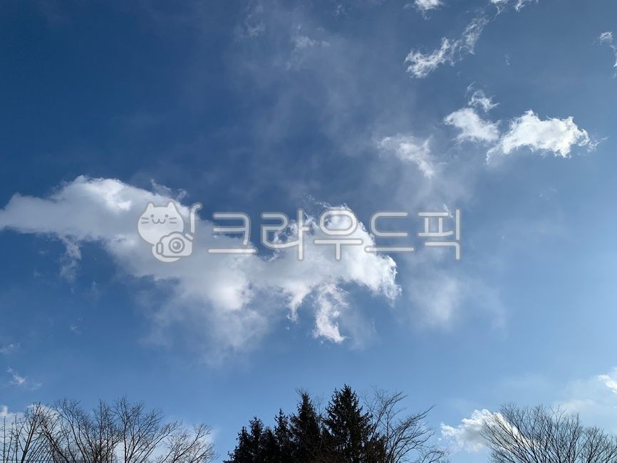 sky,cloud,blue sky,fluttering,azuresky,clear sky,clear,clear clouds,tree,azure sky