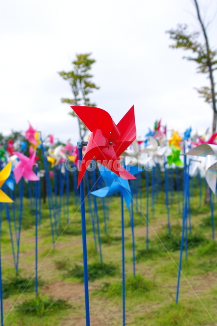 임진각,인진각평화누리공원,파주,한국,paper,종이,art,미술,origami,종이접기