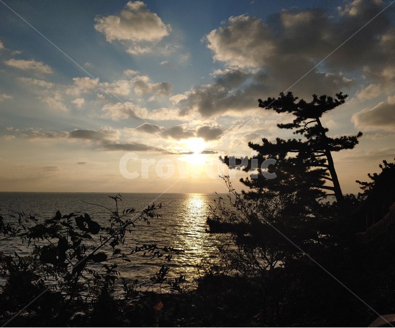 햇빛,자연,nature,sunlight,석양,light,빛,flare,일몰,보령,황혼,dusk,자연,풍경,nature,landscape,플레어