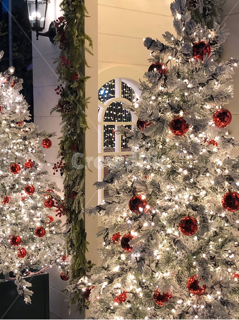 겨울,크리스마스트리,크리스마스,christmastree,tree,ornament,장식