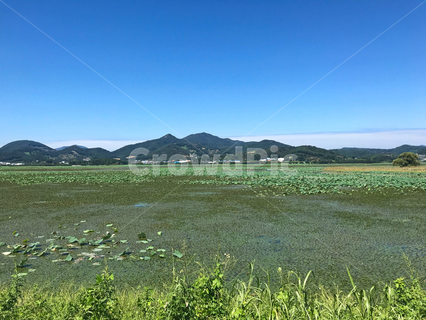 자연,옥외,들,목초지,하늘,산,잎,저수지,야외,background,beautiful,blue,green,leaves,mountain,natural,nature,organic,outdoor,plant,pond,scenery,sky,view,water,연못