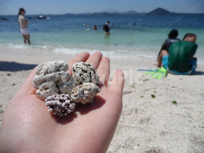 바다,제주도,서빈백사,해변,돌,여름휴가