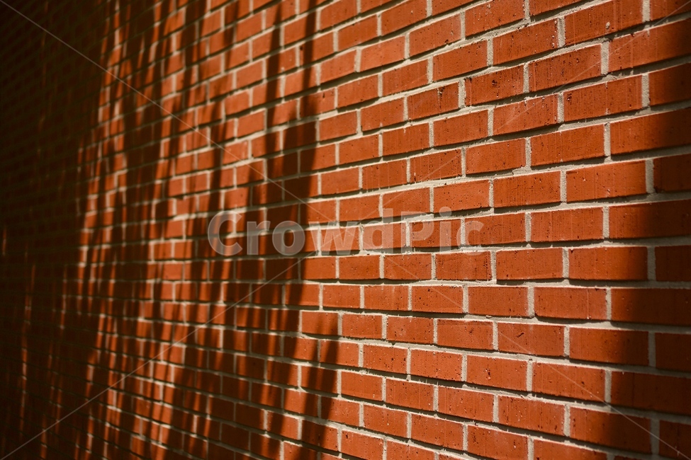 Red,shadow,minor,repeat,pattern,brick,wall