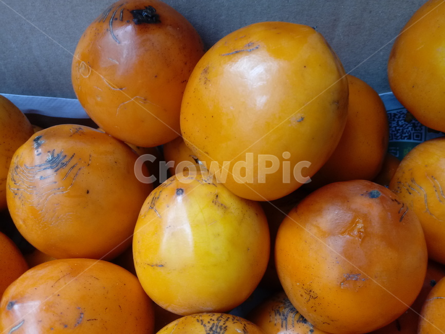 감,열매,과일,식물,fruit,plant,음식,식재료,요리,food,cook,meal,dishes,food reserves,과일,열매,fruit