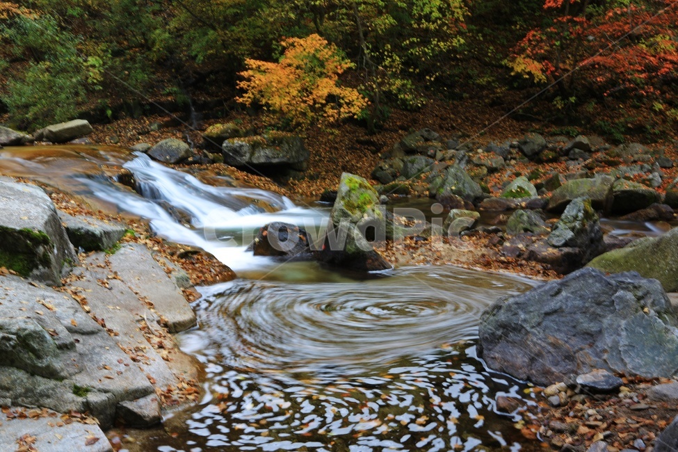 water,물,nature,outdoors,옥외,waterfall,폭포,tree,나무,plant,식물,leaf,잎,stream,흐름,물흐름,강원도,인제,방태산,방태산폭포,방태산가을,단풍,단풍잎,가을,추색,만추,낙엽,계곡,경치,경관,풍경,인제가을