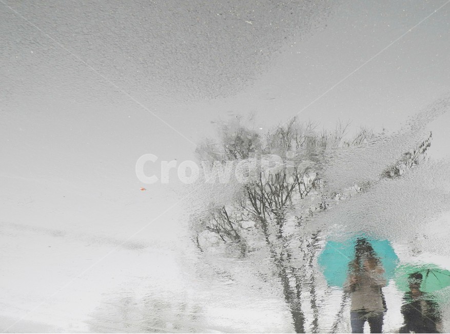 winter,Semyaje,december,winter rain,winter tree