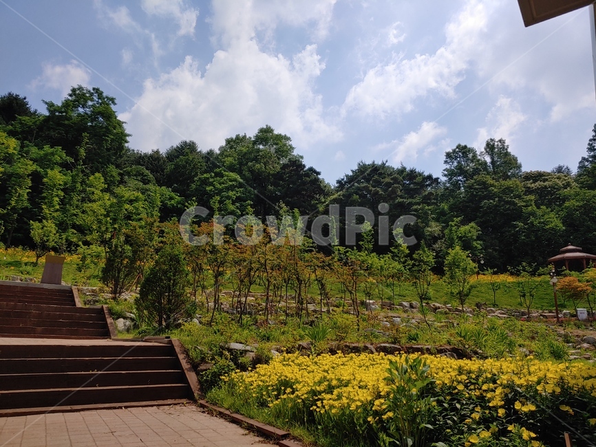 계단,꽃,배경화면,숲,나무,하늘,구름,자연,풍경,nature,landscape