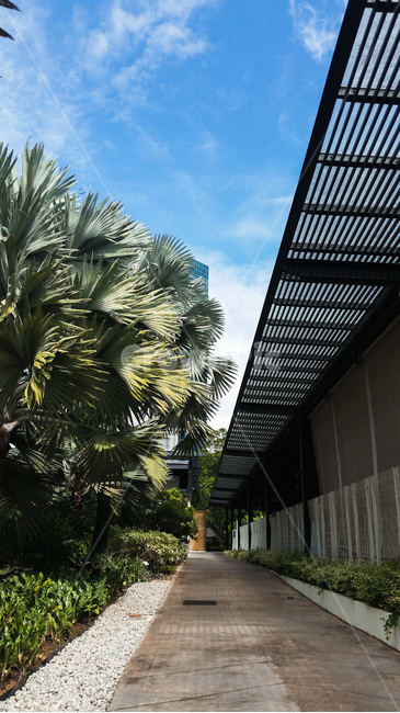 outdoors,옥외,garden,정원,싱가포르,싱가폴,singapore