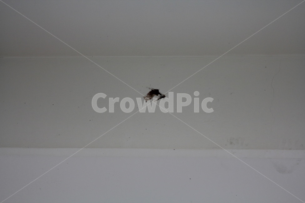 천장,얼룩,점,ceiling,stain