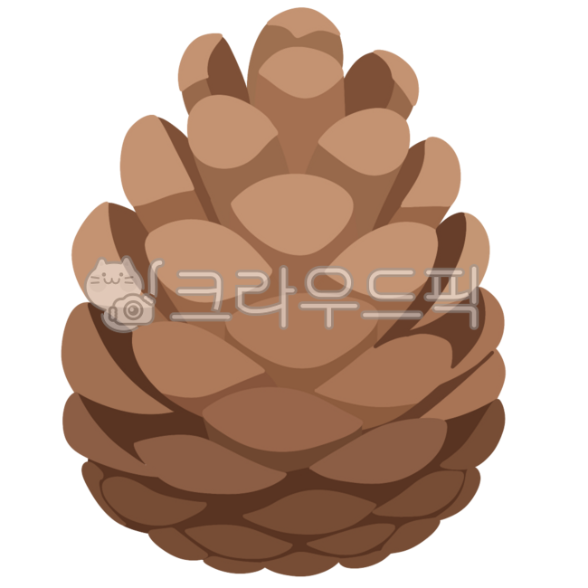 소나무,솔방울,가을,가을소나무,가을솔방울