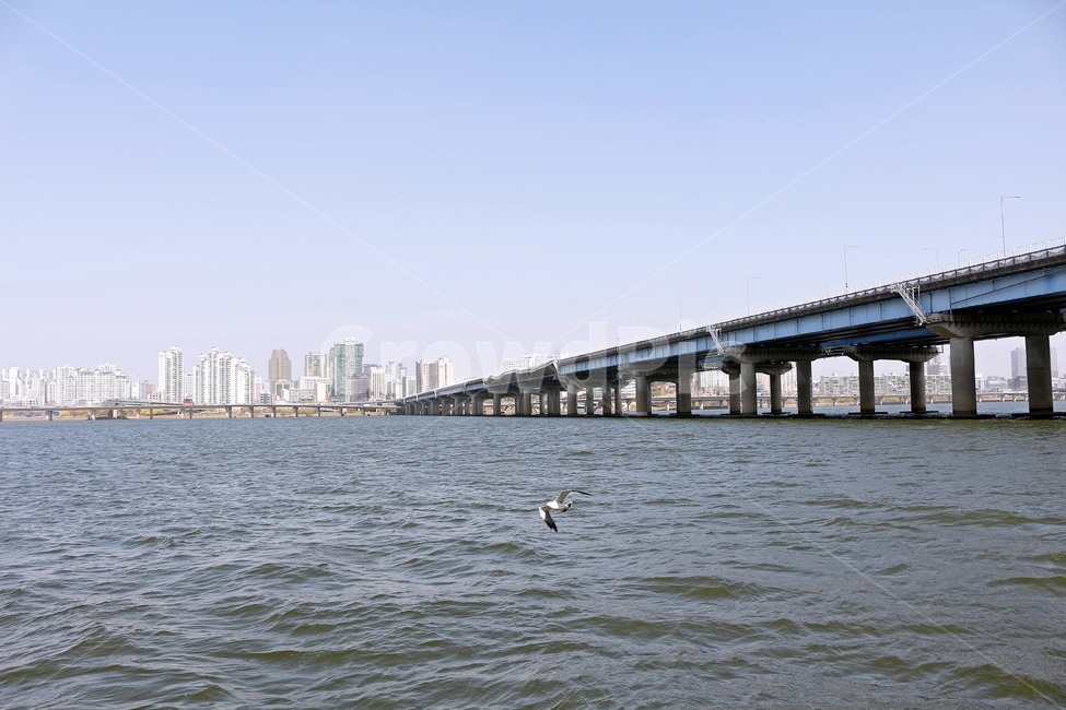 한강,마포대교,갈매기,새,풍경,강물,river,다리,landmark,landscape,하늘,맑음,blue,sky,푸르름,도시,풍경,city,landscape