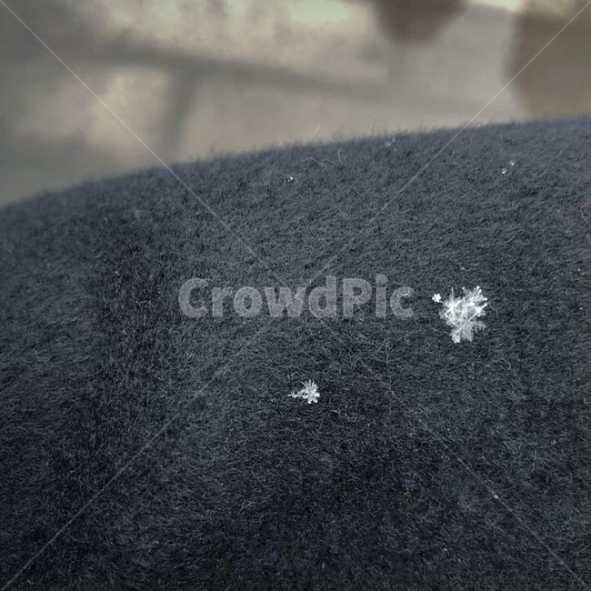 눈,결정,snow,입자,내림,겨울,계절,winter,season