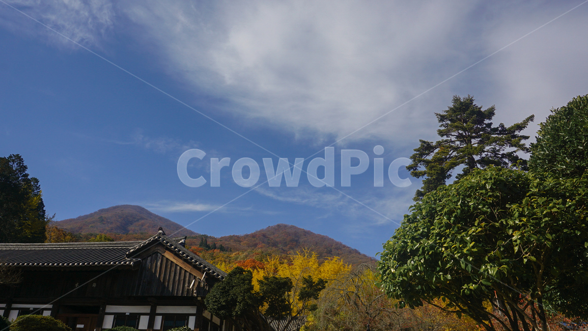 풍경,산,하늘,나무,자연,노랑,가을,계절,fall,autumn,season,자연,풍경,nature,landscape,한국자연풍경,한국자연경관,korea nature landscape,outdoors,옥외
