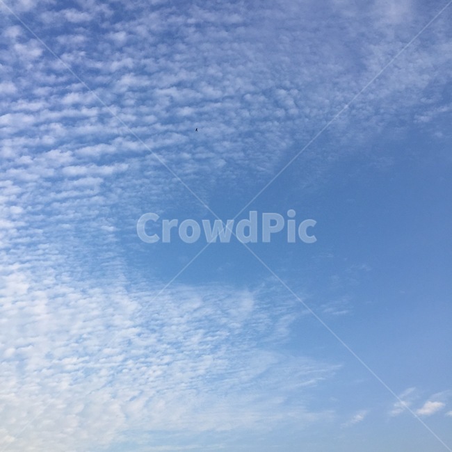 하늘,구름,자연,풍경,sky,감성,자연,풍경,nature,landscape,outdoors,옥외,azure sky,푸른 하늘