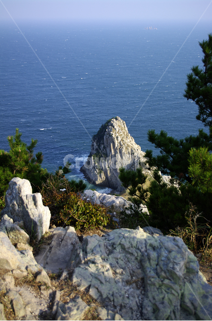 바위섬,암석,바다,나무,풍경,자연,풍경,nature,landscape,outdoors,옥외,land,땅,promontory,곶,shoreline,해안선,water,물,ocean,대양,sea