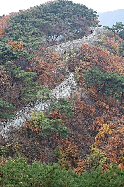 남한산성,성,성곽,단풍,낙엽,길,둘레길,숲,숲길,담,돌담,가을,자연,풍경,벽,울긋불긋,산성,식물,가을,계절,fall,autumn,season