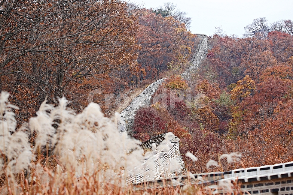 남한산성,성곽,성,단풍,낙엽,길,둘레길,숲,숲길,담,돌담,가을,자연,풍경,벽,울긋불긋,산성,식물,가을,계절,fall,autumn,season,nature,outdoors,옥외