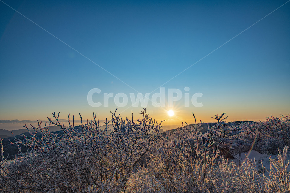태백산,일출,설산,상고대,해돋이,겨울산,산,아침,해,겨울,눈꽃,nature,자연,겨울,계절,winter,season,자연,풍경,nature,landscape,새해,new year