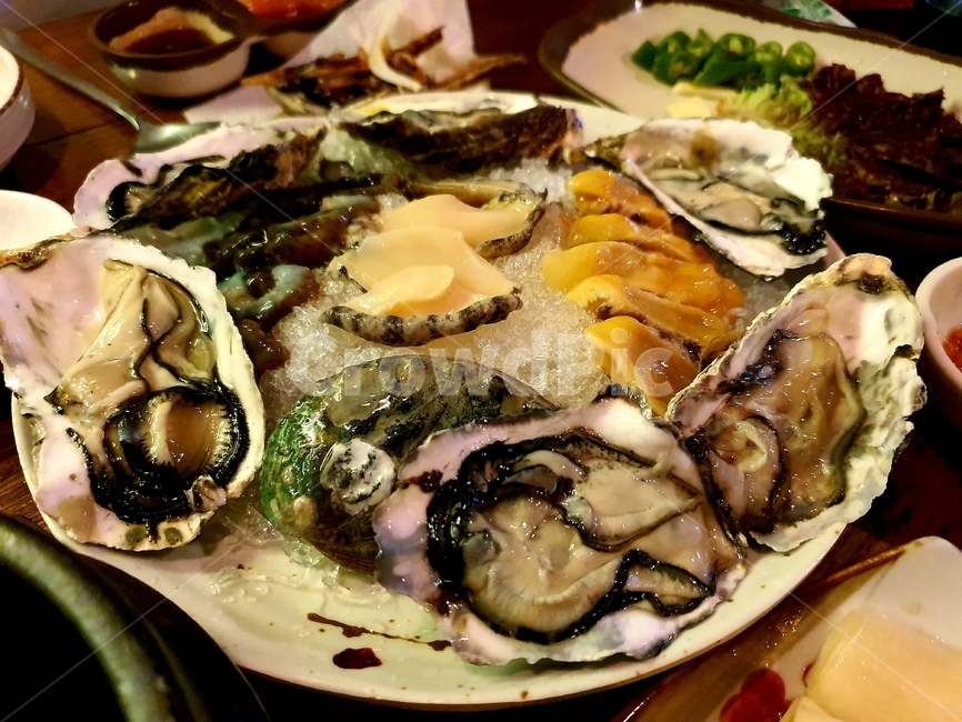 음식,회,일식,seafood,food,식사,sashimi,해산물,전복,해삼,굴,조개,oyster,seashell,수산물,해산물,fishery products,seafood