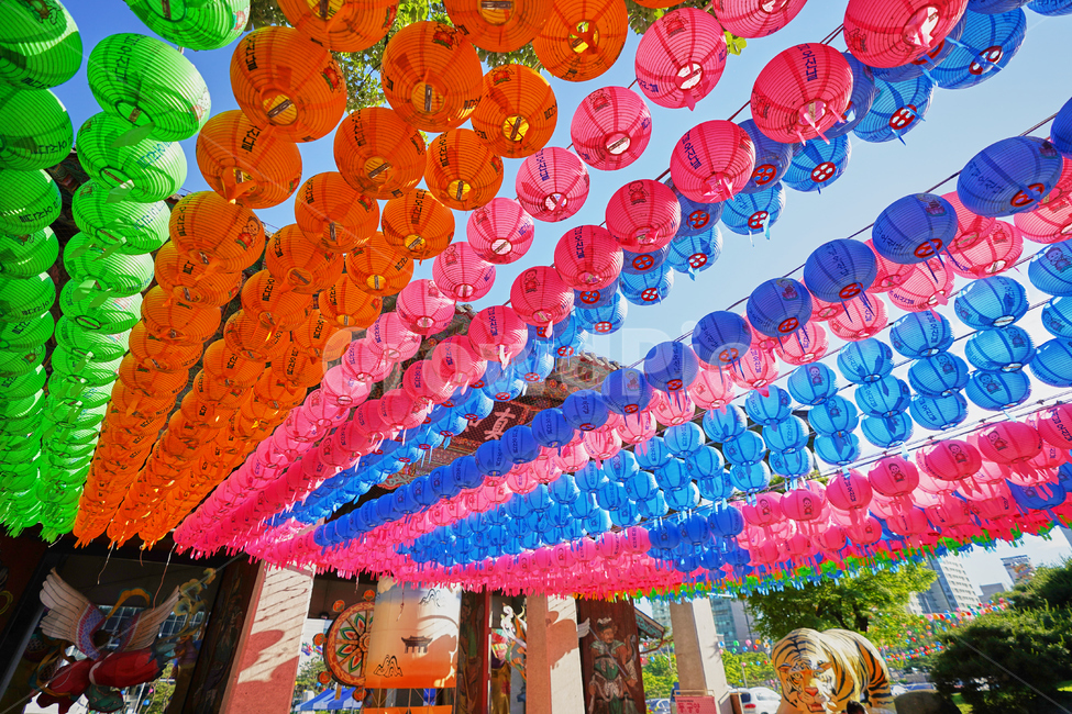 봉은사,불교,절,사찰,템플,연등,한국전통,한국문화,korean traditional,korean culture,종교,신앙,religion,belief,faith
